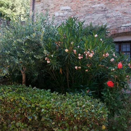 Alloggio per agriturismo La Rocca Di Rossoporpora *